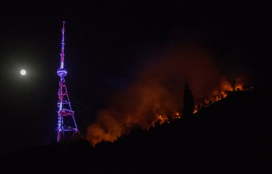 Fire on Mtazminda Mountain in Tbilisi