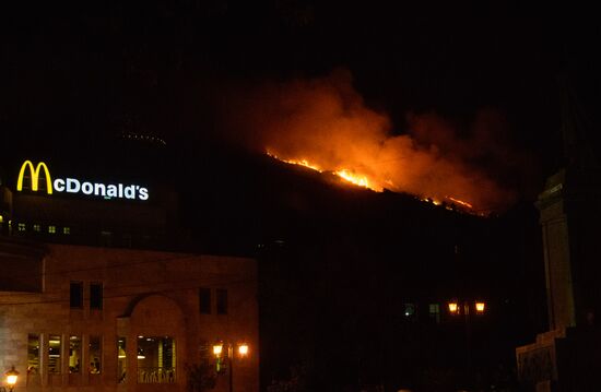 Fire on Mtazminda Mountain in Tbilisi