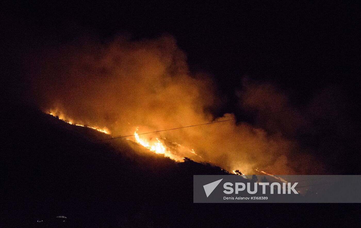 Fire on Mtazminda Mountain in Tbilisi