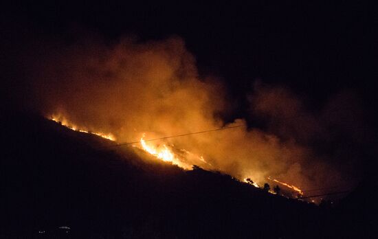 Fire on Mtazminda Mountain in Tbilisi