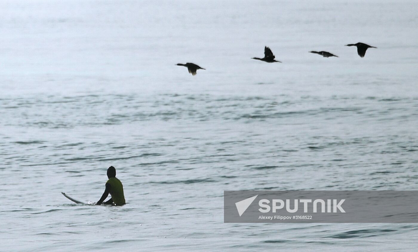 Surfing in Kamchatka