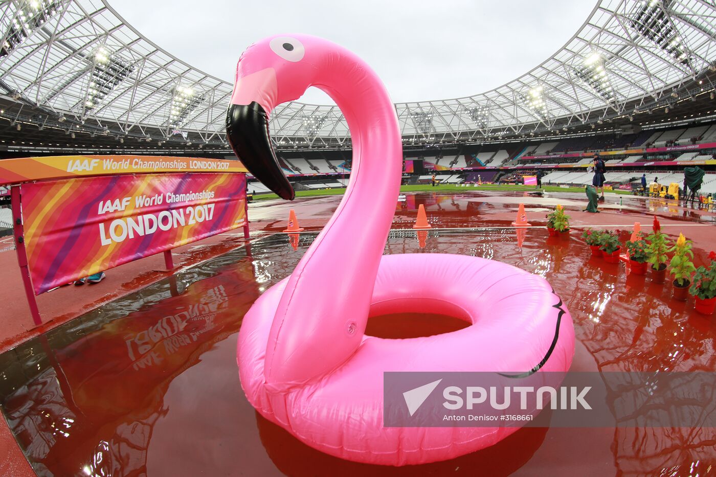 Athletics. World Championships. Day 6