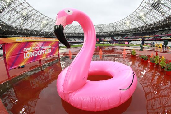 Athletics. World Championships. Day 6