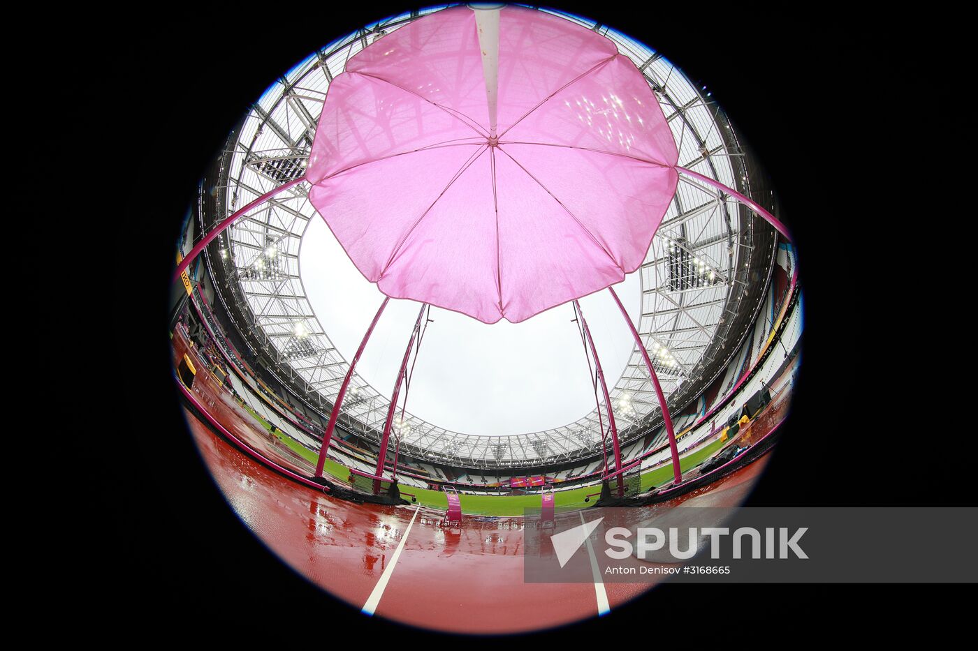 Athletics. World Championships. Day 6