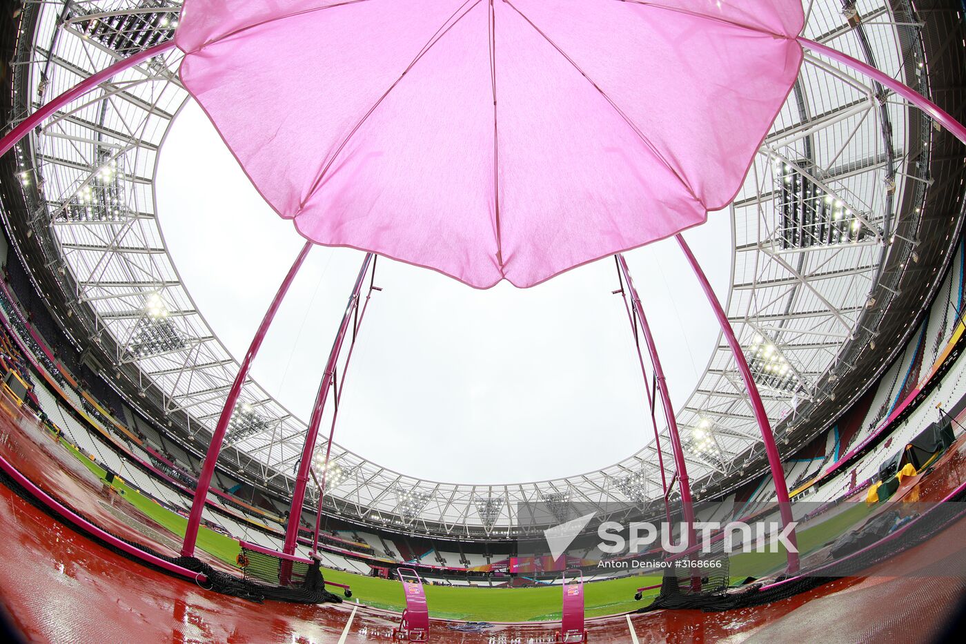 Athletics. World Championships. Day 6