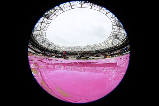 Athletics. World Championships. Day 6
