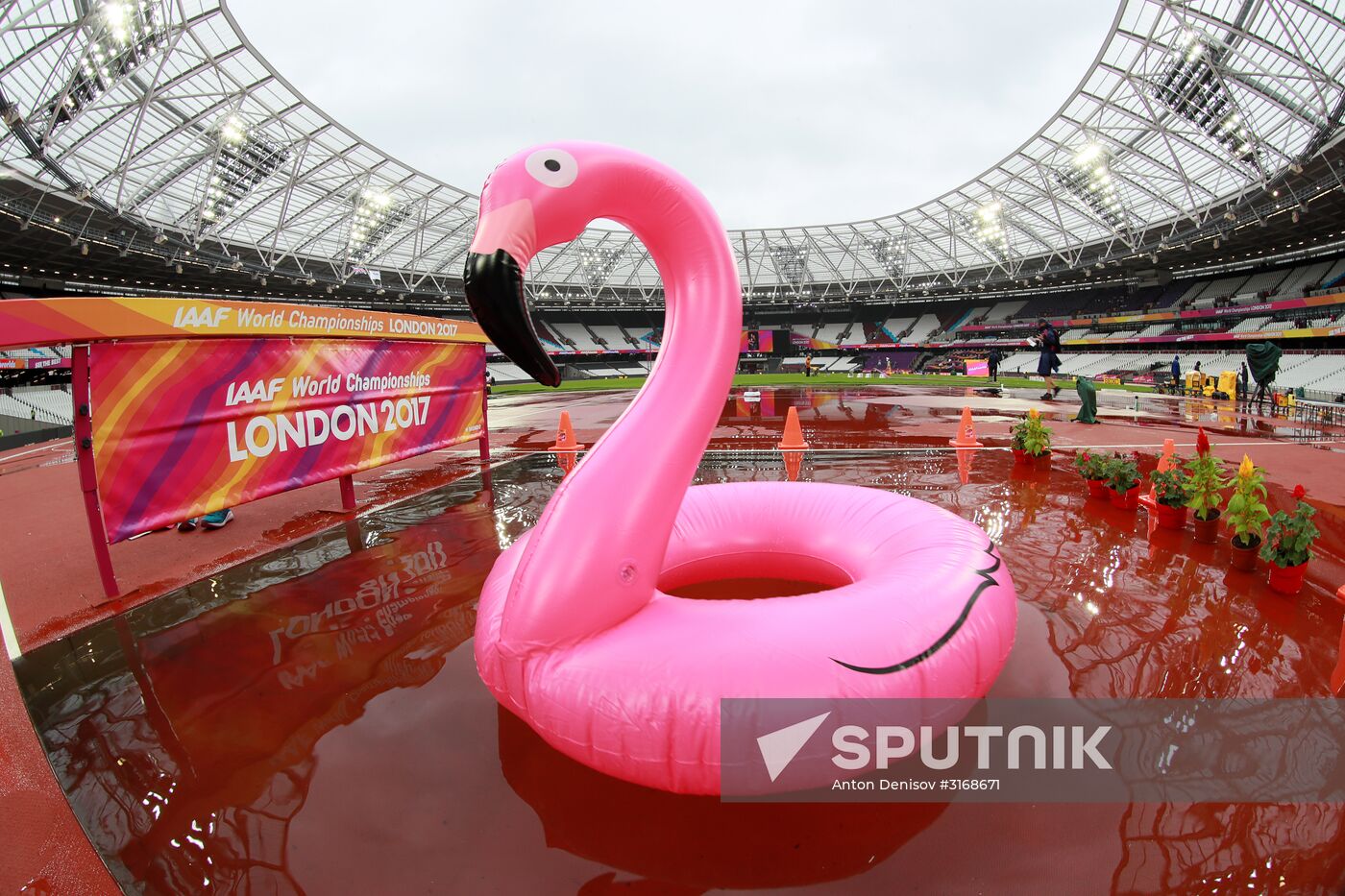 Athletics. World Championships. Day 6