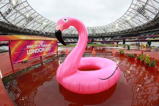 Athletics. World Championships. Day 6