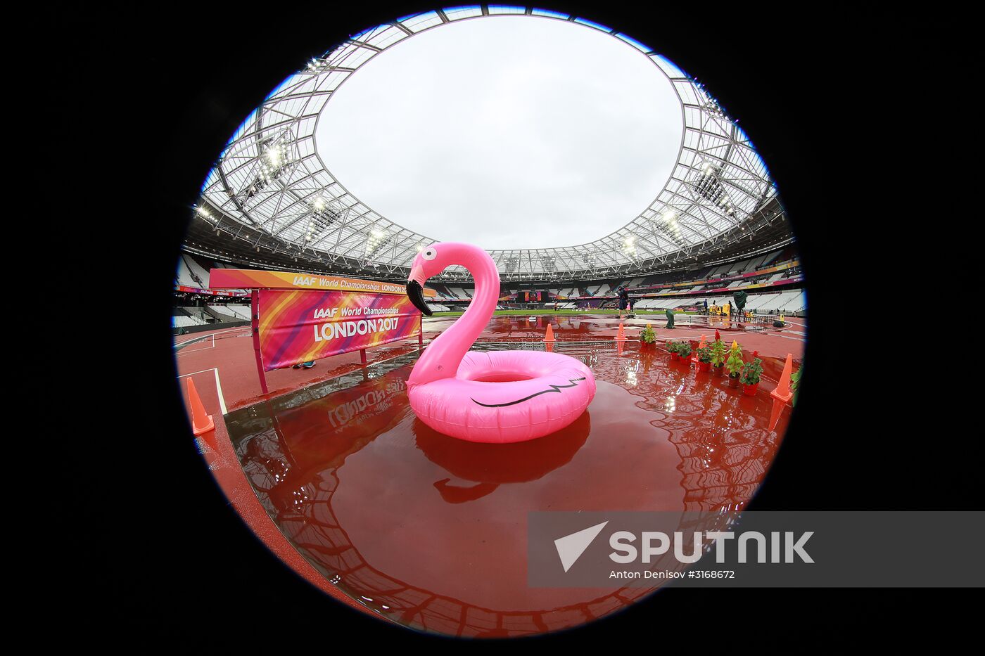 Athletics. World Championships. Day 6