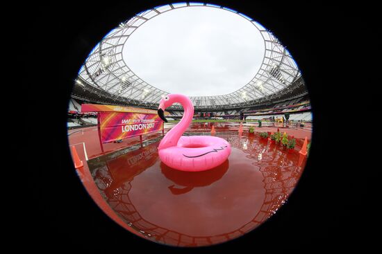 Athletics. World Championships. Day 6