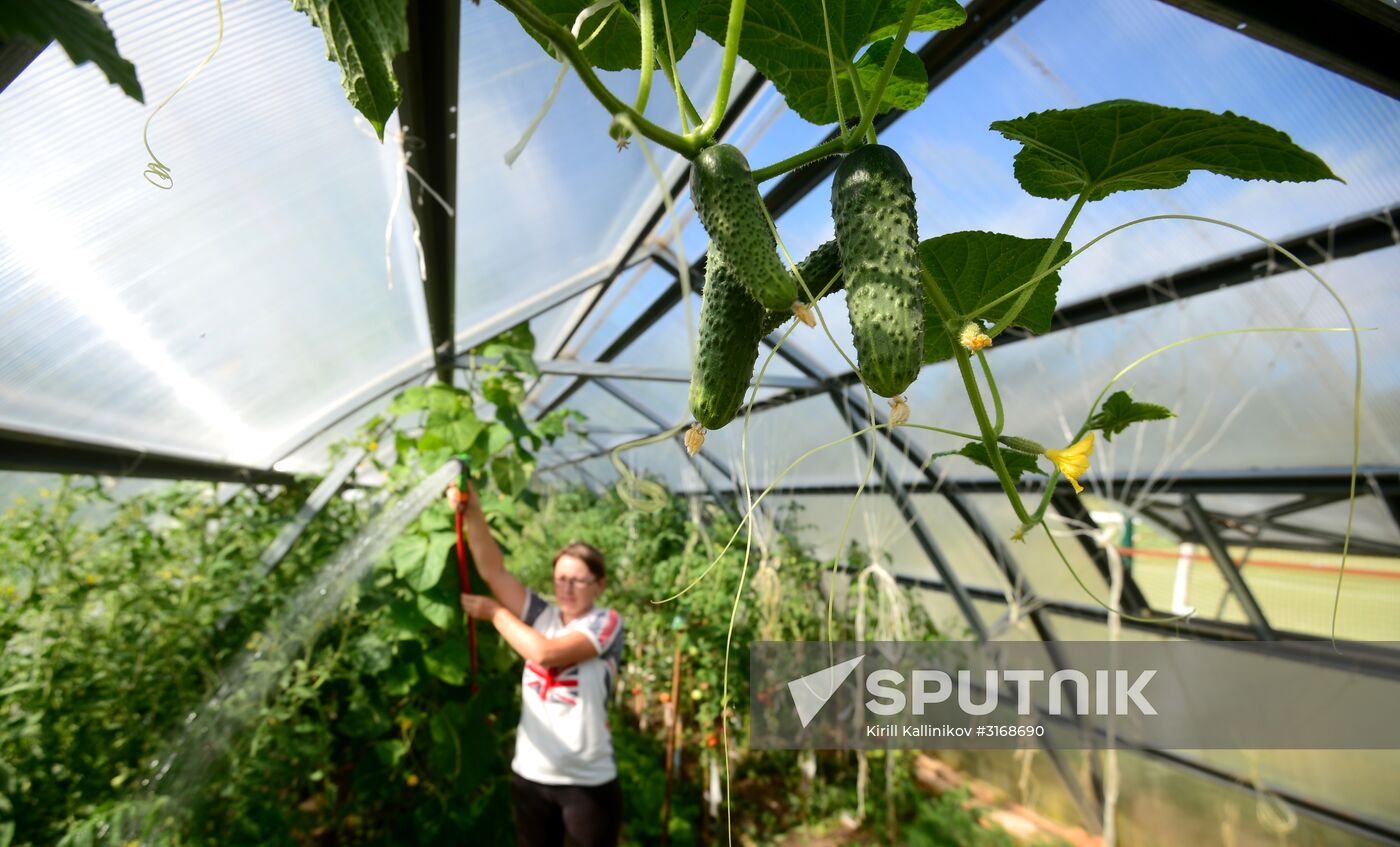 Eco-farm Nikolsky Dvorik in Moscow Region