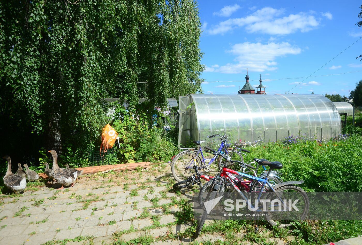 Eco-farm Nikolsky Dvorik in Moscow Region