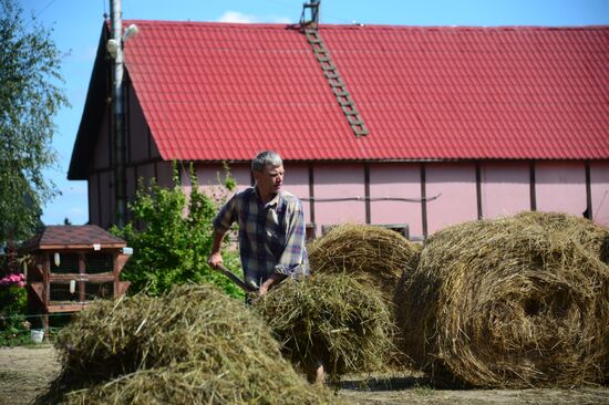 Eco-farm Nikolsky Dvorik in Moscow Region