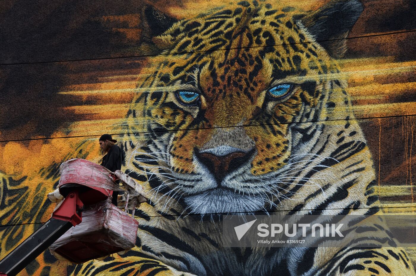 Graffiti featuring Far Eastern leopard in Vladivostok