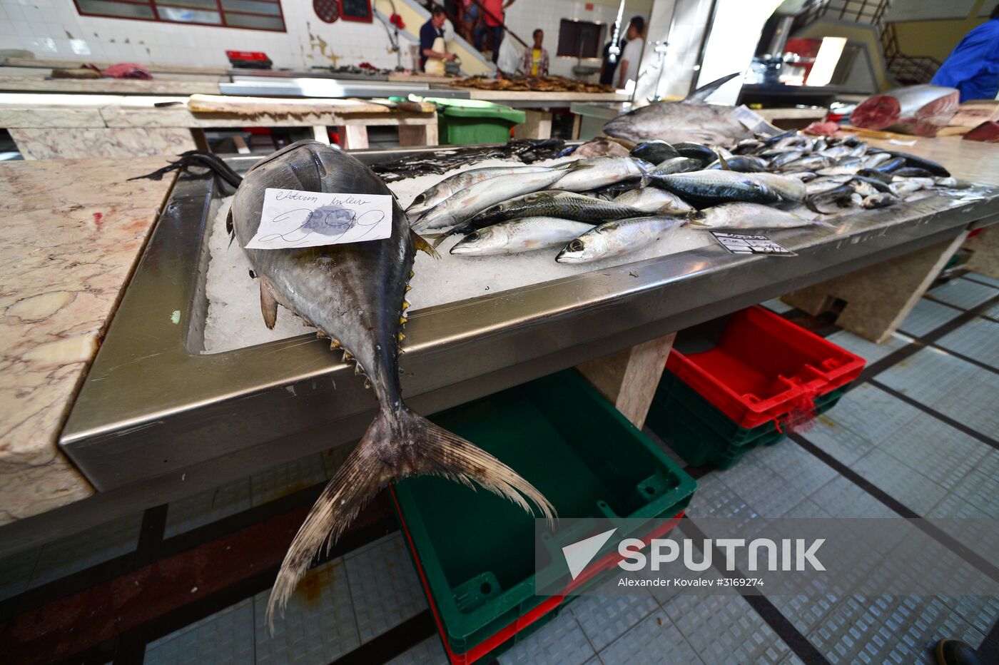 Countries of the world. Portugal