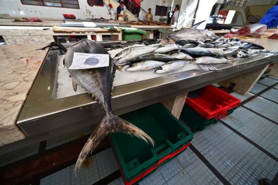 Countries of the world. Portugal