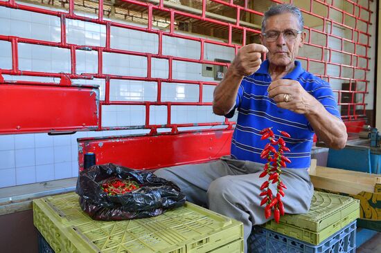 Countries of the world. Portugal