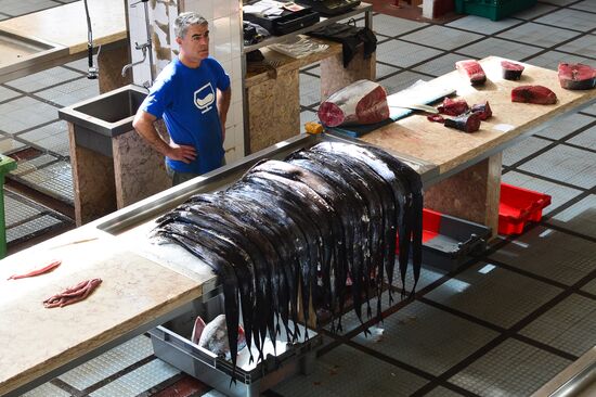 Countries of the world. Portugal