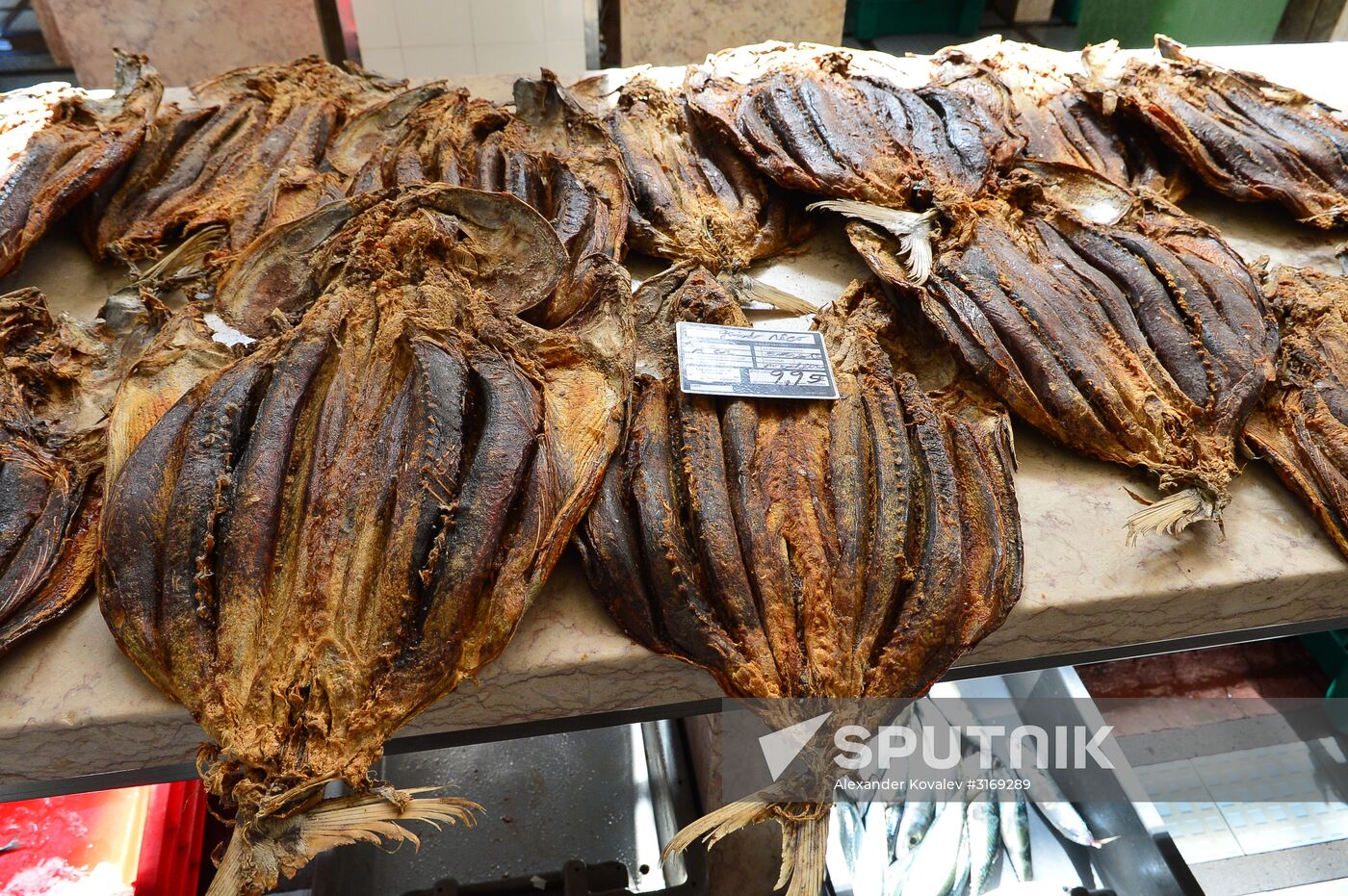 Countries of the world. Portugal