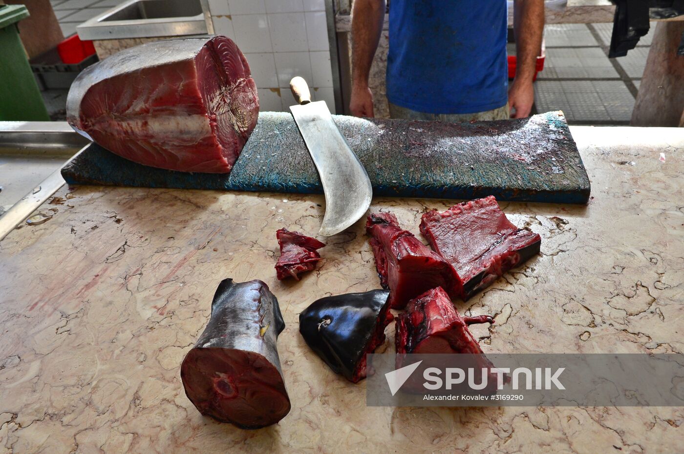 Countries of the world. Portugal