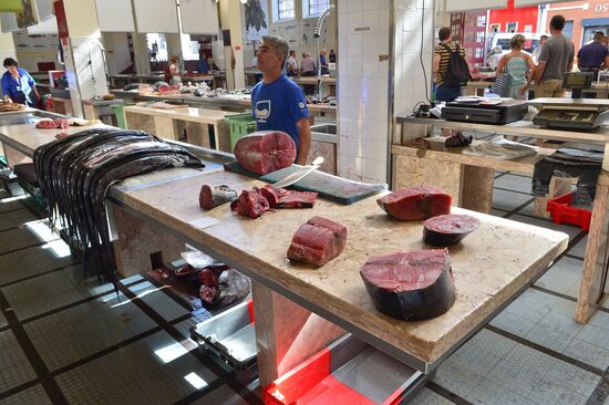 Countries of the world. Portugal