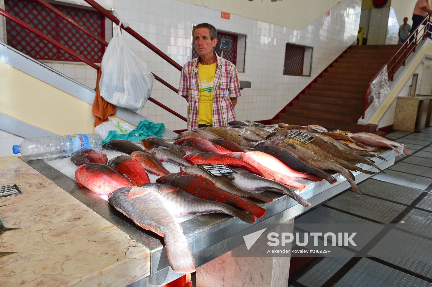 Countries of the world. Portugal