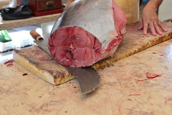 Countries of the world. Portugal