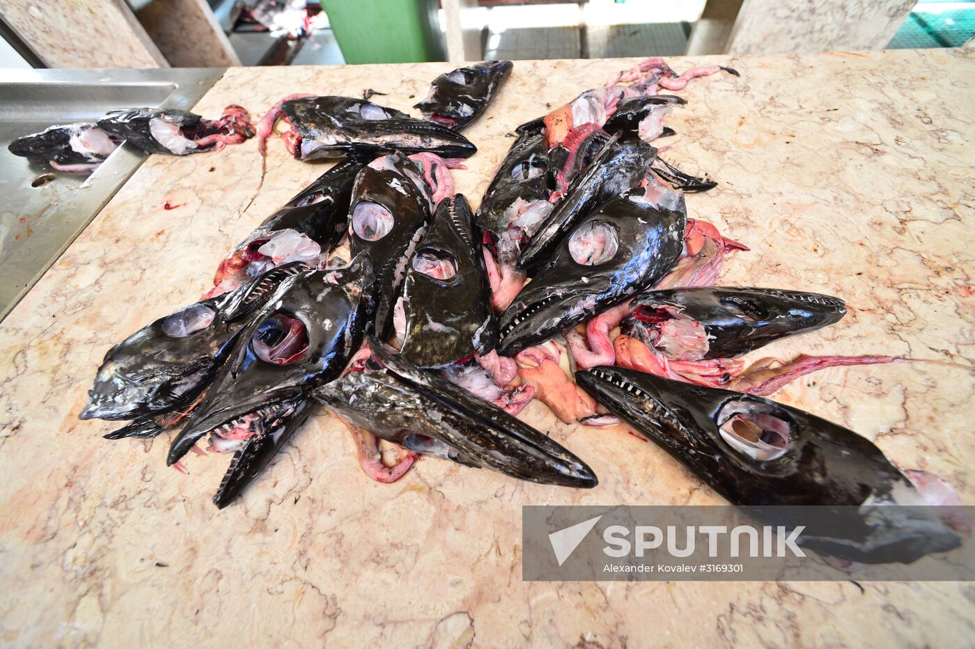 Countries of the world. Portugal