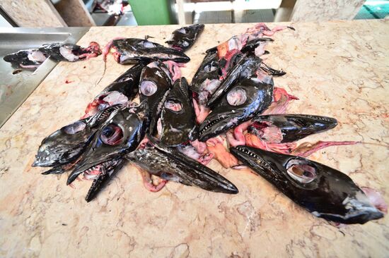 Countries of the world. Portugal