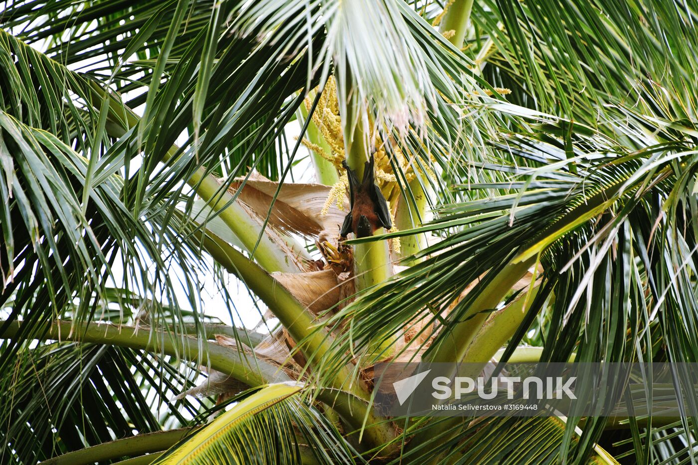 Countries of the world. Maldives