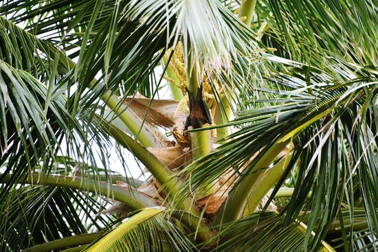 Countries of the world. Maldives