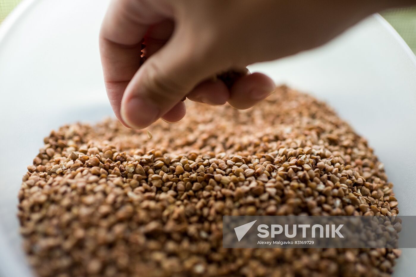 Agriculture Ministry announces buckwheat price cuts