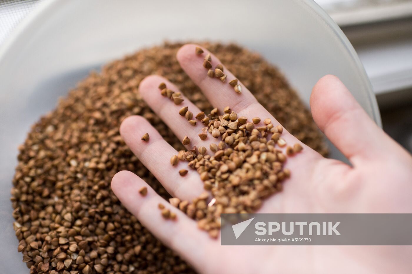 Agriculture Ministry announces buckwheat price cuts