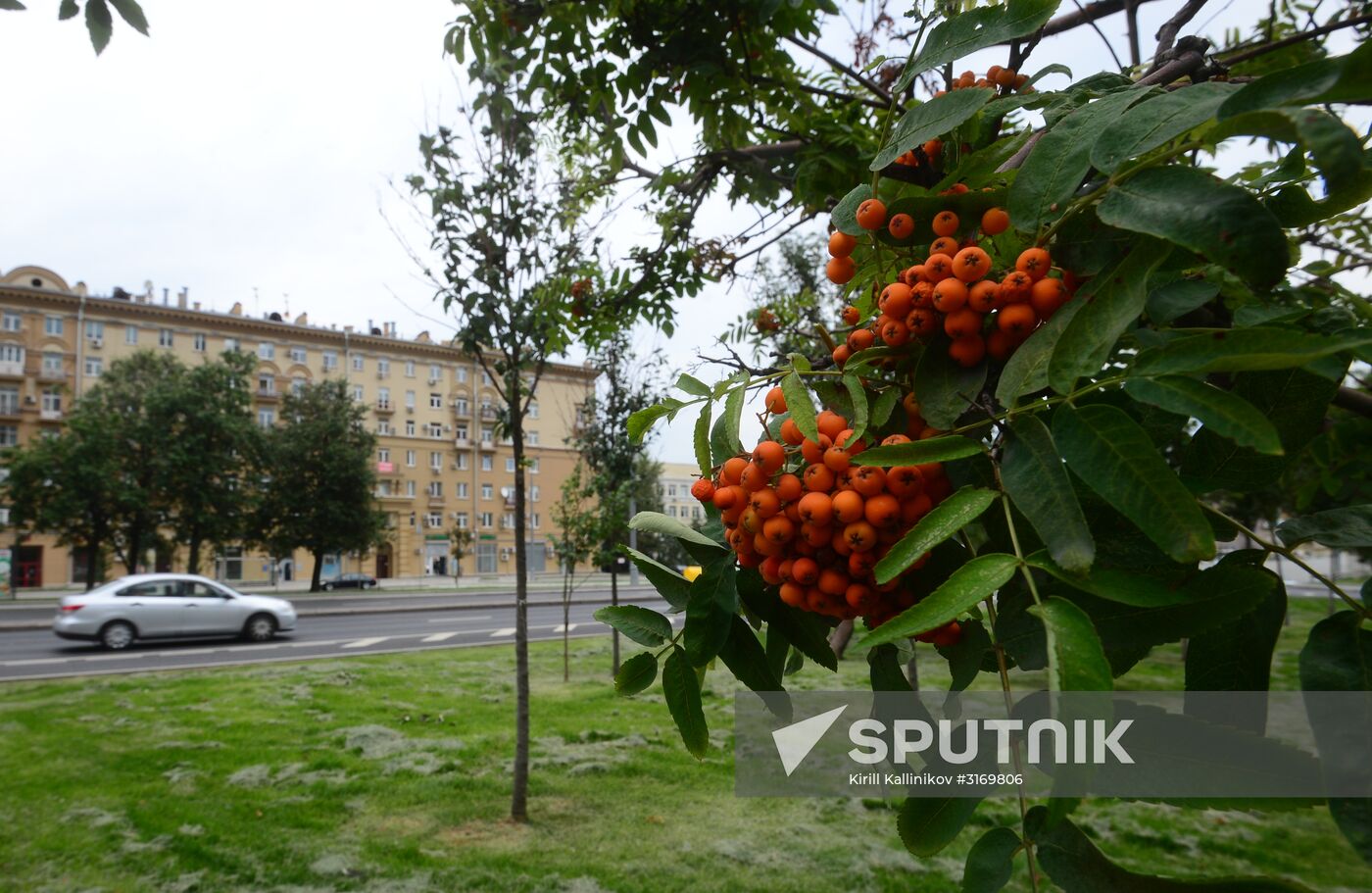 Improvement works on Moscow streets