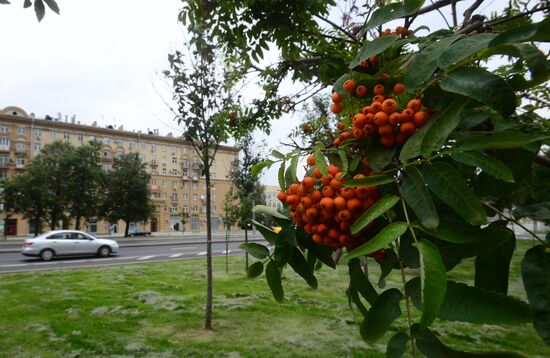 Improvement works on Moscow streets