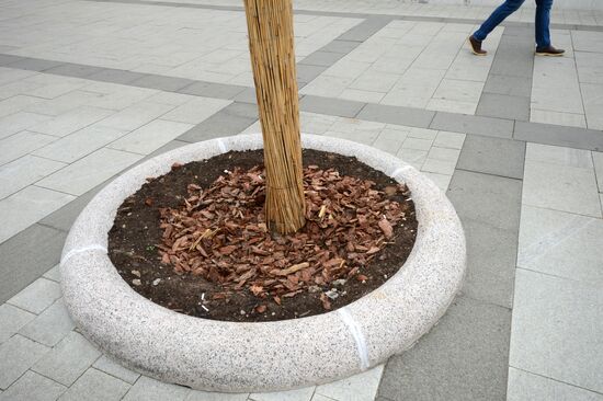 Improvement works on Moscow streets