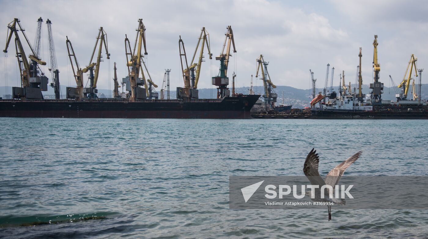 Commercial port of Novorossiysk