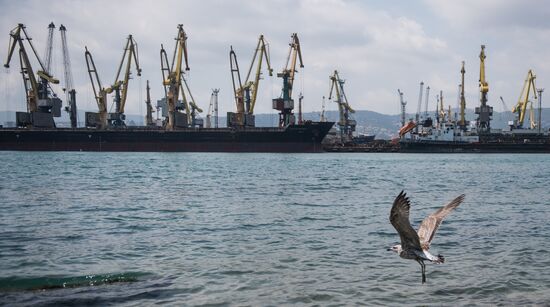 Commercial port of Novorossiysk
