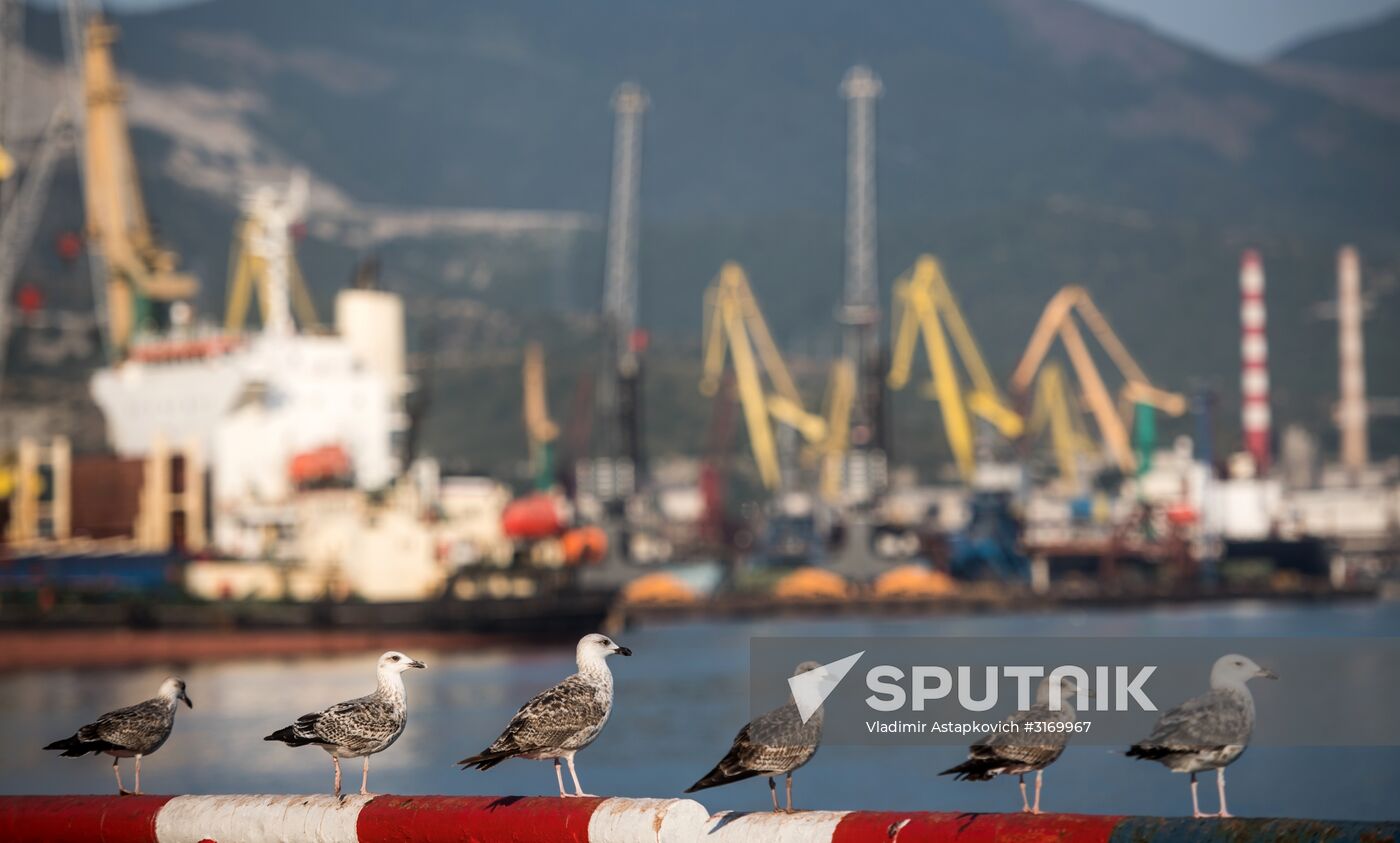 Commercial port of Novorossiysk