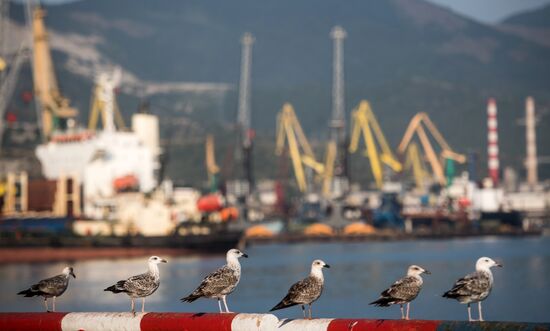Commercial port of Novorossiysk