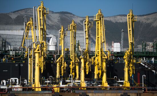 Commercial port of Novorossiysk