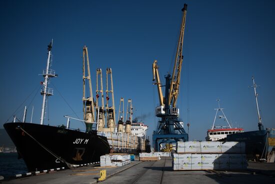 Commercial port of Novorossiysk