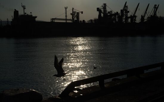 Commercial port of Novorossiysk