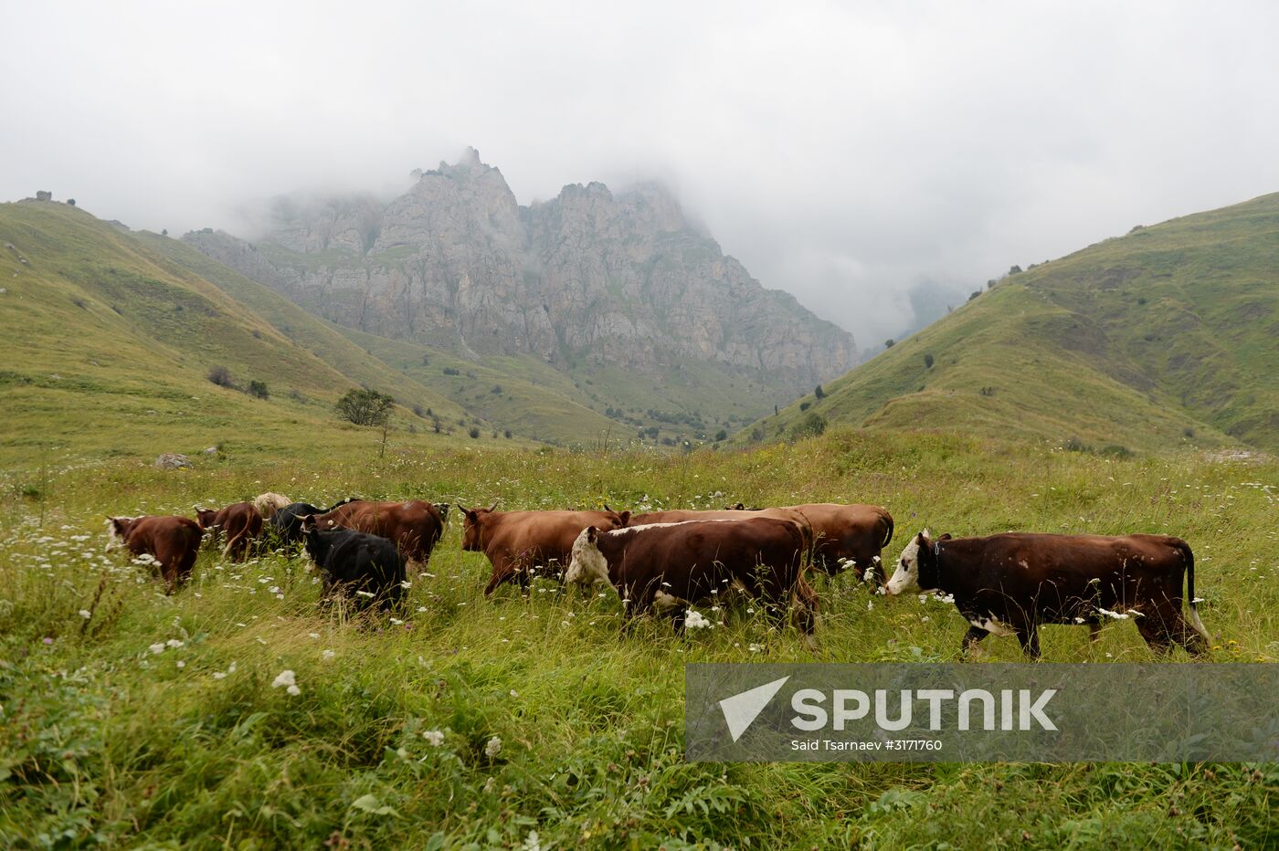 Mountainous areas in Chechnya