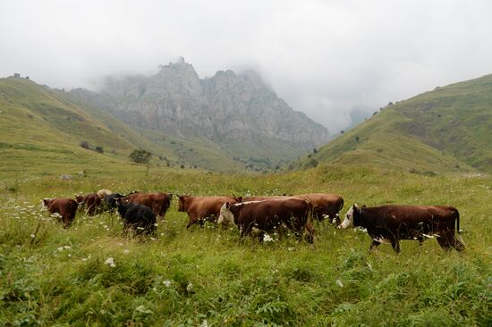 Mountainous areas in Chechnya