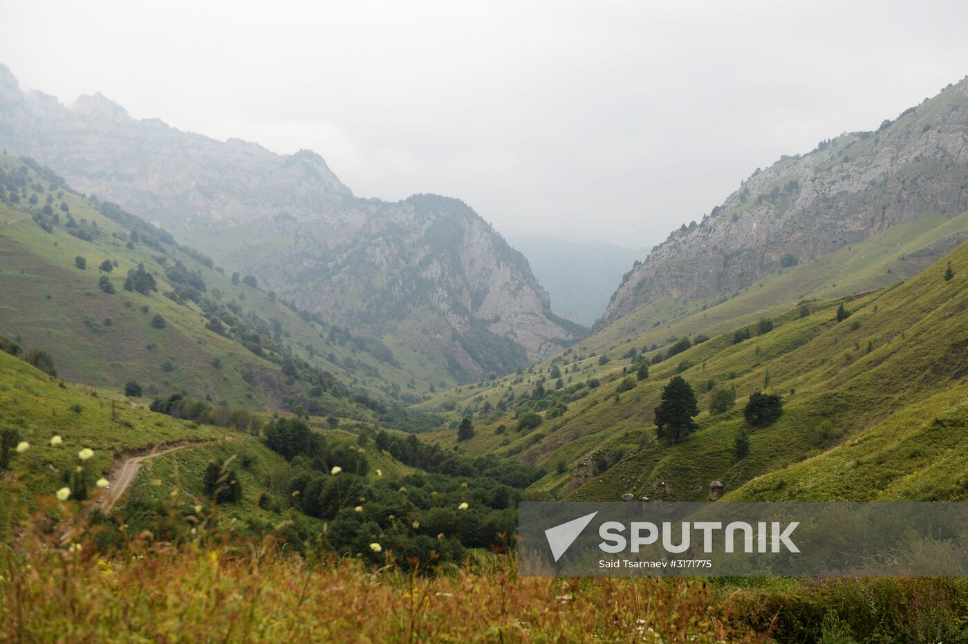 Mountainous areas in Chechnya