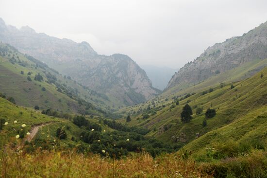 Mountainous areas in Chechnya