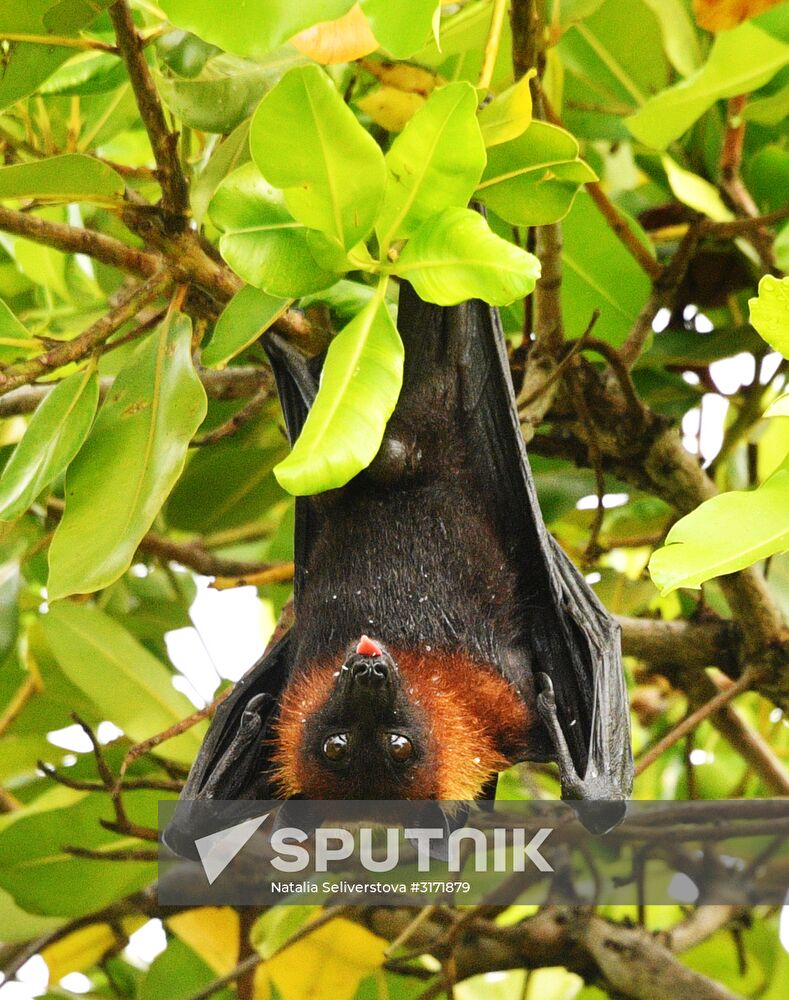 Countries of the world. Maldives