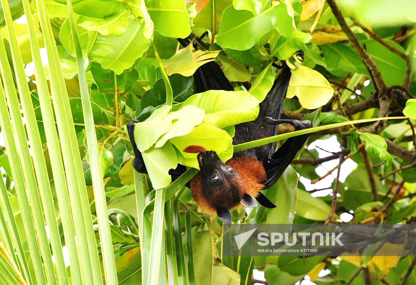 Countries of the world. Maldives