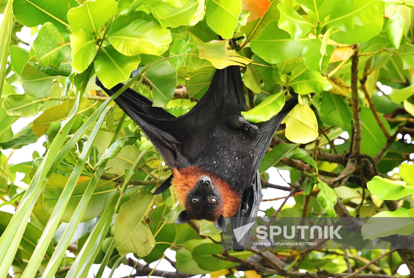 Countries of the world. Maldives